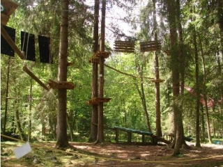  Installations in the trees 